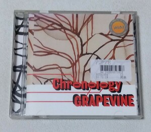 GRAPEVINE グレイプバイン / Chronology -a young persons