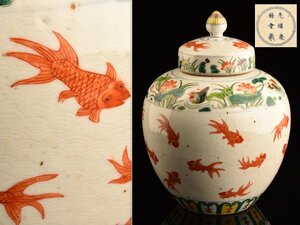 【流】中国美術 光緒慶餘堂蔵 色絵金魚文蓋付壷 高31cm TX271