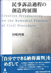 民事訴訟過程の創造的展開　川嶋 四郎　　弘文堂　2005