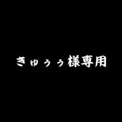 【 きゅぅぅ様専用 】