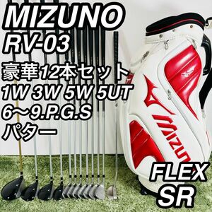 MIZUNO ミズノ RV-03 12本セット メンズゴルフ 初心者 入門用 男性 右利き コースデビュー フルセット