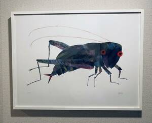 アメリカ　エリック・カール美術館販売　直筆サイン入限定プリント　バッタ　額装　Eric Carle Museum 額幅62cm　はらぺこあおむし