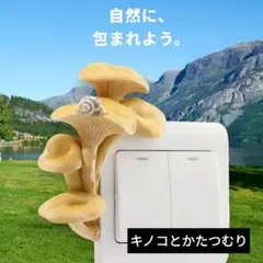 スイッチデコレーション