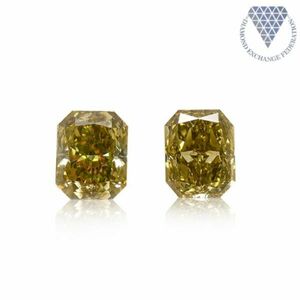 合計 0.92 ct 天然 カラー ダイヤモンド 2 ピース GIA 2 点 付 マルチスタイル / カラー FANCY DIAMOND 【DEF GIA MULTI】