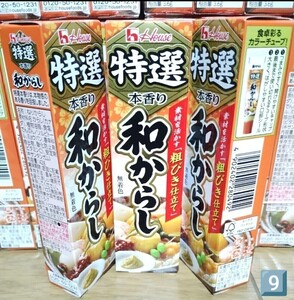 ハウス食品 特選本香り和からし 調味料 チューブ 限定 得 香辛料 スパイス ねり ハウス 食品 特選本香り からし 和からし 特選 1円スタート