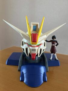 ガンダム SEED DESTINY キャラクター&ガンダムヘッド シン・アスカ