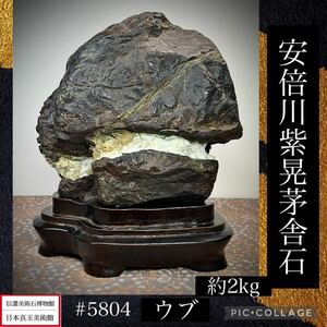 【水石ルネサンスフェア】水石 盆栽 安倍川紫晃石 茅舎石 ウブ 横13.5×高15(cm) 2.04kg骨董盆石古美術鑑賞石観賞石太湖石中国古玩 5804