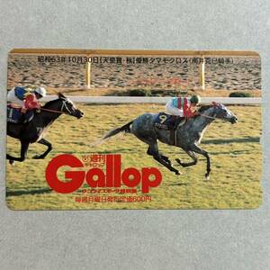 競馬 抽プレ 週間ギャロップ Gallop 昭和63年10月30日 天皇賞 秋 タマモクロス 南井克已 テレカ 50度数 未使用 希少 レア プレゼント