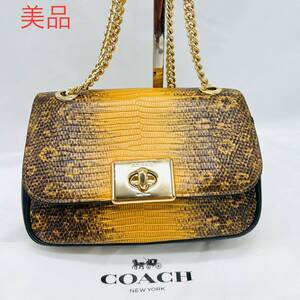 希少　美品　COACH コーチ　リザード　レザー チェーン ショルダー バッグ　チェーンショルダーバッグ 斜め掛け　肩掛け