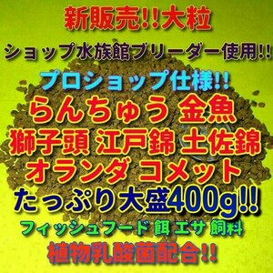 新販売 大粒 たっぷり大盛 400g!! プロ仕様! らんちゅう 金魚 餌 エサ 飼料 ショップブリーダー使用 フィッシュフード 江戸錦 丹頂 淡水魚d