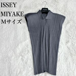 極美品 イッセイミヤケ カットソー Mサイズ グレー プリーツ 襟付き 半袖 ISSEY MIYAKE