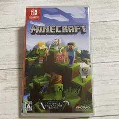 Minecraft Nintendo Switch版