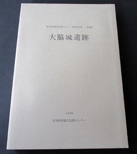 ★【発掘調査報告書】『大脇城(遺跡)』(送料無料)　愛知県豊明市／梶川氏・織田氏／中近世城館／