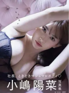 小嶋陽菜 写真集　かもしれない