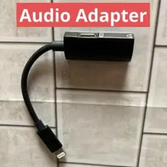 高品質オーディオ体験　udio Adapter Classic 2L 26-AA