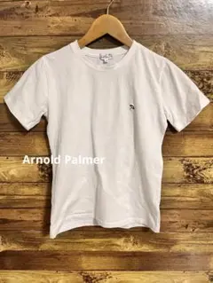 アーノルドパーマー Arnold Palmer Tシャツ　Ｍサイズ　レディース