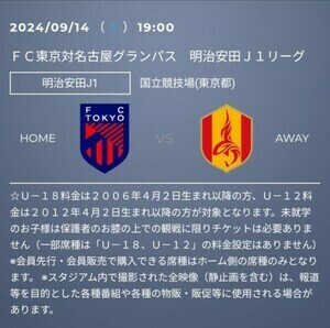 メイン上層指定席 連席２枚　 2024/9/14 19:00 ＦＣ東京対名古屋グランパス 明治安田Ｊ１リーグ 国立競技場