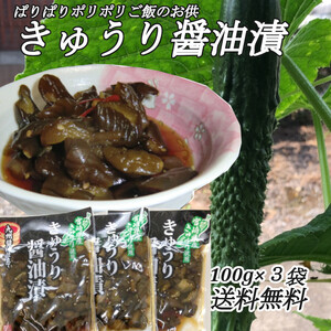 【きゅうり醤油漬】100g×3袋 ご飯のお供 宮崎県産きゅうり おにぎり おかず カレーライスの付合せ お茶うけ お酒の肴 送料無料