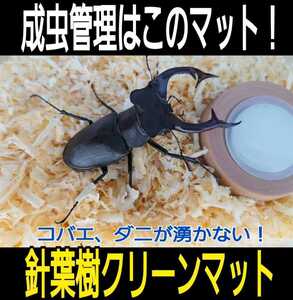 クワガタ、カブトムシの成虫管理はこれが一番！爽やかな香りの針葉樹マット☆ケース内が明るくなり生体が目立ちます☆ダニがわきません！