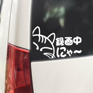 録画中にゃ～/ステッカー（白/ネコ）ドライブレコーダー搭載車