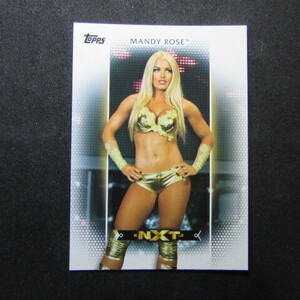 2017 Topps WWE Women’s Division #R-8 Mandy Rose