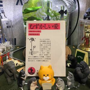 むずかしい愛 カルヴィーノ 和田忠彦