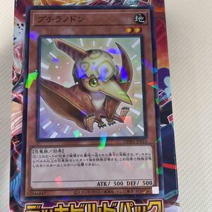 遊戯王　ノーパラ　DBWS-JP014　プチラノドン　デッキビルドパック ワイルド・サバイバーズ