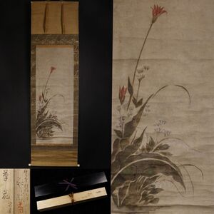 【模写】【LIG】江戸期 俵屋宗達 草花図 掛軸 紙本 識箱 二重箱 旧家収蔵品 [.RW]24.6