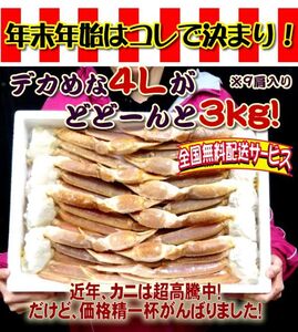 【送料無料】生ズワイガニ３ｋ（４Ｒ ９肩入り）！！