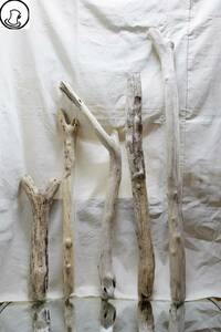 SEASIDEinterior★流木をインテリアオブジェに、Cool driftwood for decorating 72