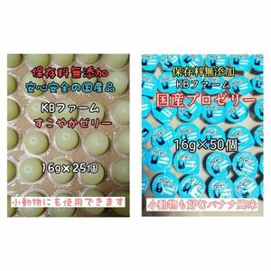 国産ゼリー KBファーム すこやかゼリー 16g 25個 プロゼリー 16g 50個 カブトムシ クワガタ 昆虫