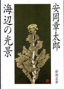 安岡章太郎、海辺の光景 ,MG00001