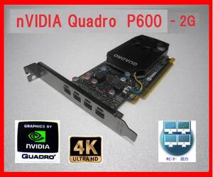 nVIDIA Quadro P600 -2G 動作確認済