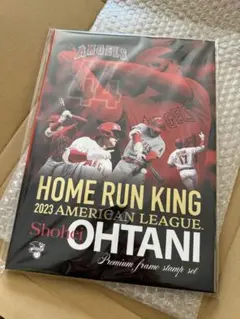 大谷翔平 HOME RUN KING