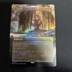 MTG 三本木市　日本語　ボーダーレス　foil