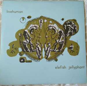 usLP2 枚組 livehuman // elefish jelly phant 2000年発売 解説カード付き