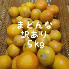 1441愛果 まどんな 訳あり ５kg (紅まどんな)