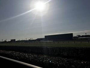 中央競馬　馬券術オリジナル