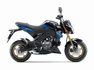 Z125PRO　キャンディープラズマブルー　ウレタン塗料1kgセット