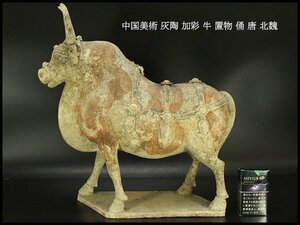 【銀閣】中国美術 灰陶 加彩 牛 置物 俑 高40.5cm 唐 北魏 旧家蔵出(MG866)