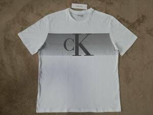 新品未使用！ カルバンクライン メンズ ストライプ ckロゴ Tシャツ Ｌサイズ ホワイト/ブラック 白黒 半袖 カットソー Calvin Klein