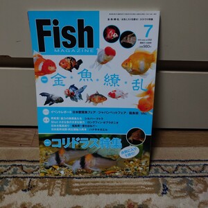 フィッシュマガジン 2013年07月号 vol.552 #コリドラス特集#イエローザリガニ#魚病の原因と対策#琉金#金魚カタログ#金魚飼育の要点########