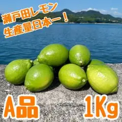 瀬戸田レモン 12個 A品 1Kg 広島県 瀬戸内 国産 しまなみ海道