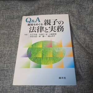 Q&A離婚をめぐる親子の法律と実務