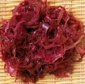 7【激安！上品質！】 静岡県伊豆産 赤とさかのり ５００ｇ 【高級 ギフト 母の日 父の日 お中元 贈り物 景品 内祝 赤トサカ海苔 国産】