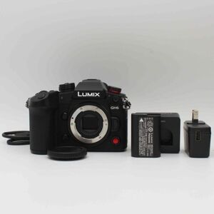 4280ショット【新品級】PANASONIC LUMIX DC-GH6 ボディ#4207