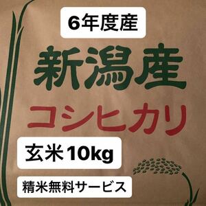 新潟産 新米 コシヒカリ 6年度産 玄米10kg 精米無料サービス 10キロ