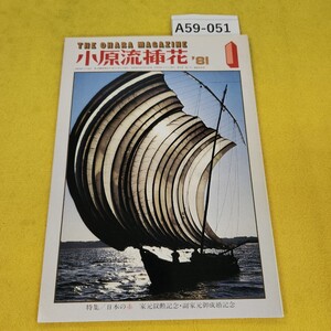 A59-051 小原流挿花 1981年1月号 瑞鳥/盛花の正月花他 小原流文化事業部 傷汚れあり。