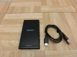 ite/497524/1230/SONY ソニー デジタルオーディオプレーヤー NW-A307/ブラック