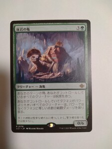 MTG マジックザギャザリング 床岩の亀 日本語版 1枚